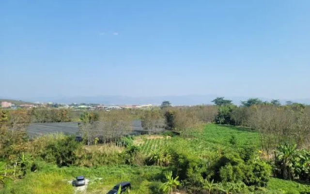 Rainforest Daixiang hot spring Inn