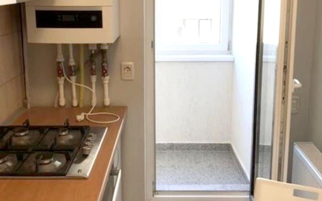 Studio in Roșu, with Balcony And Wifi