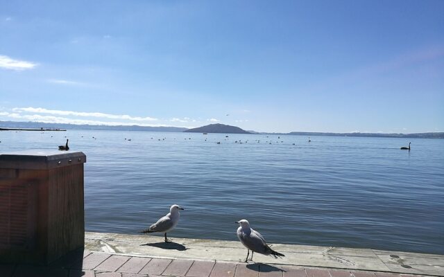Great view near Rotorua lake