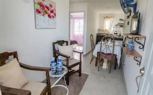 Apartamentos Magallanes Romana