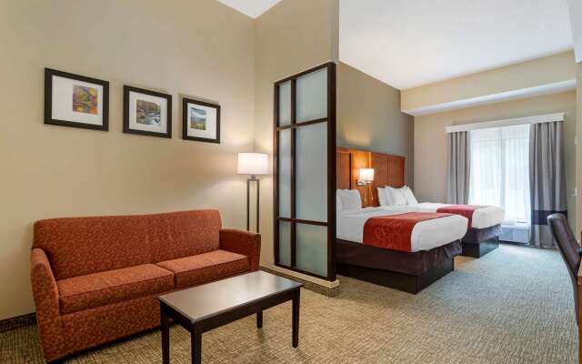 Comfort Suites Kingsport South