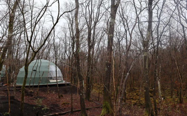 Moss Jurigi Camp Resort