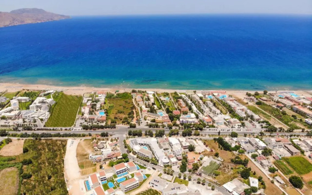 Vantaris Blue - Adults Only