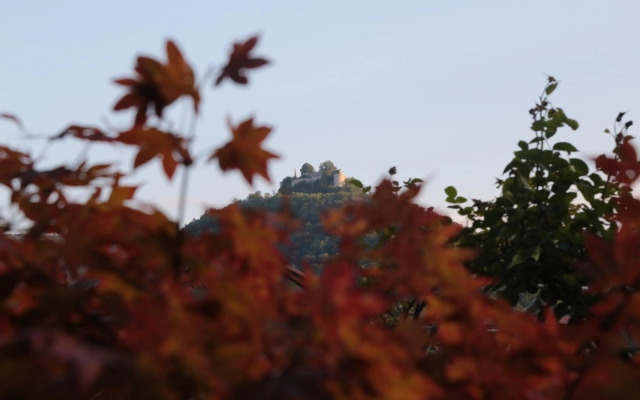 Haus Am Sonnenhügel