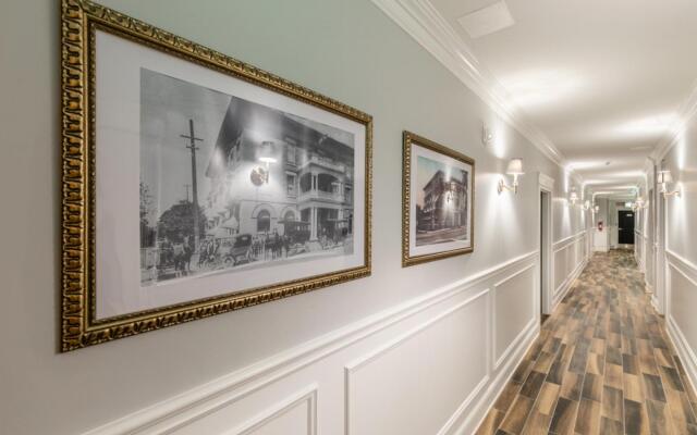 Rideau King 1Br Apartment Free Parking