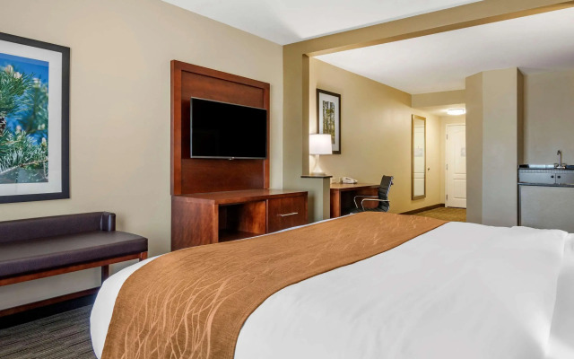Comfort Inn & Suites