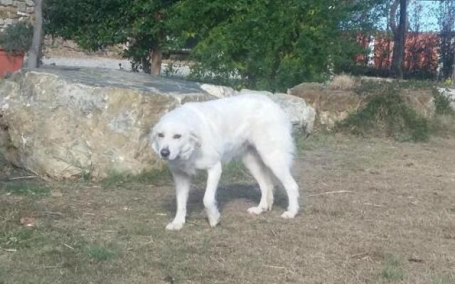 Agriturismo Poggio Mario