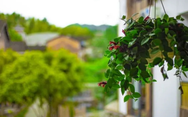 Fanjingshan weijianjingqi homestay