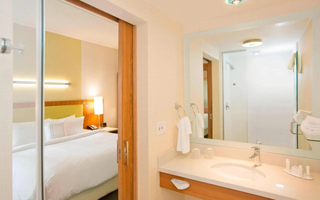 Springhill Suites by Marriott Pittsburgh Mt. Lebanon