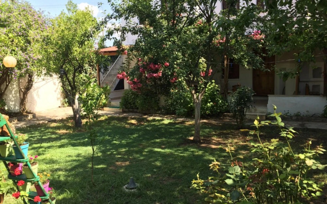 Kontes Villa Apart