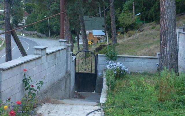 Holiday Home Borjomi-Likani