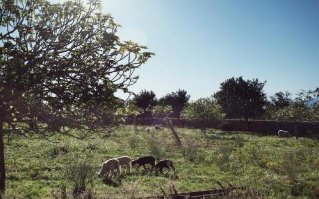 Agroturismo S'Hort des Convent