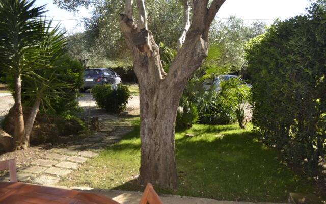 Gli Ulivi