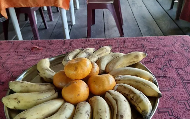 lupuna jungle tours and expeditions