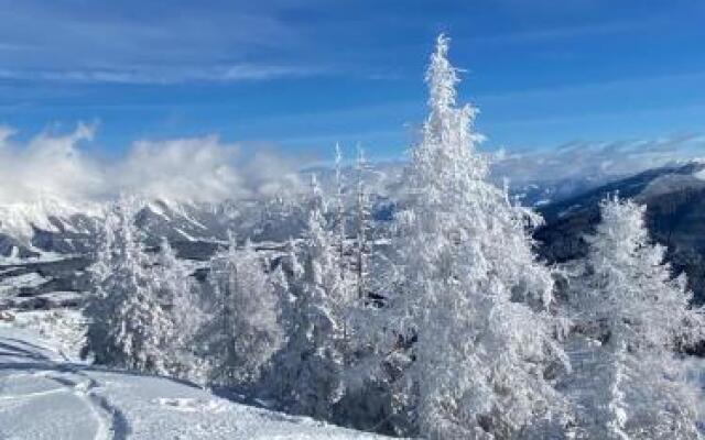 Chalets Reiteralm