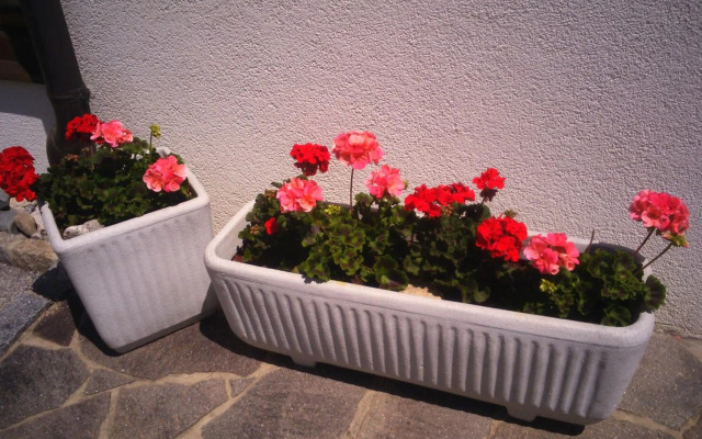 Ferienwohnungen Regina Unger