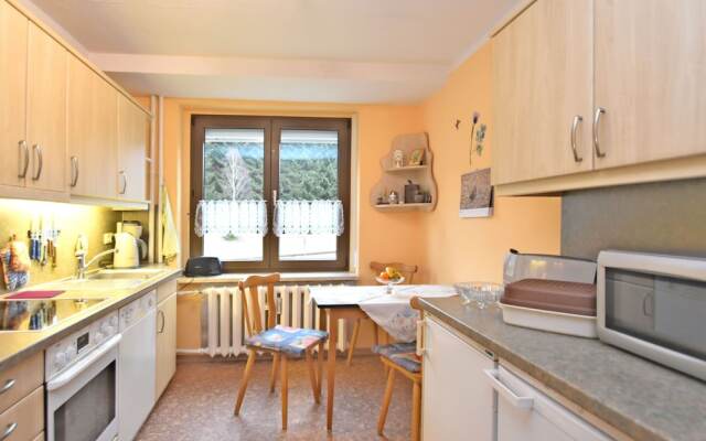 Lovely Ground-floor Apartment With Terrace in Jöhstadt, in the Ore Mountains