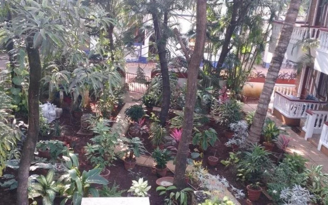 Tropicano Beach Resort