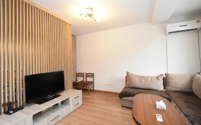 Sunny apartment on Pushkin street
