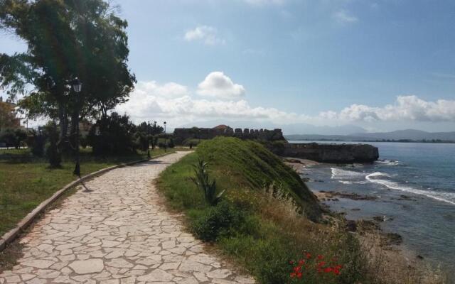 Nestor Sea Studio