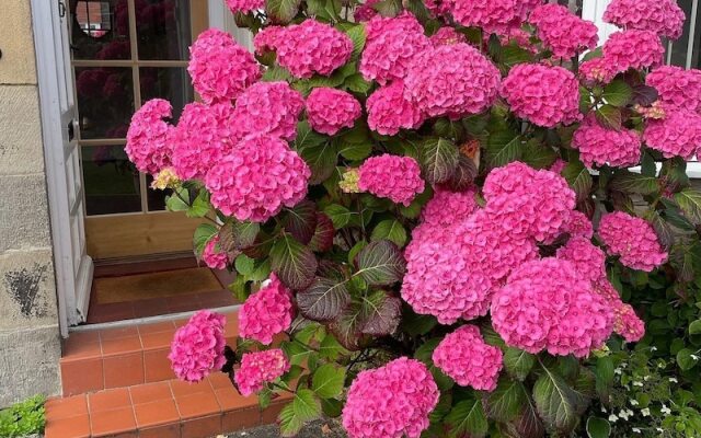 Traditional, Charming 3 Bedroom House in Seahouses