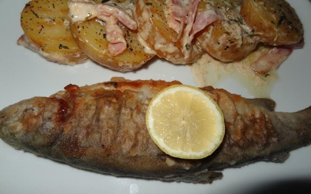 Penzion Podhorní Mlýn