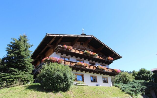 Modern Apartment in Hollersbach im Pinzgau With Balcony
