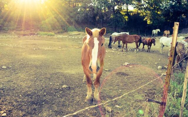Flying L Ranch Resort