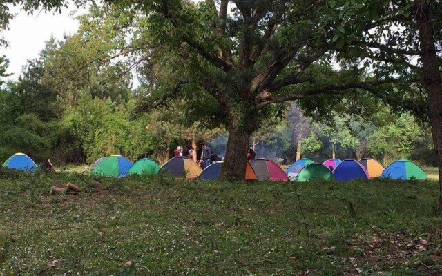 Kirkahvesi Garden - Campsite