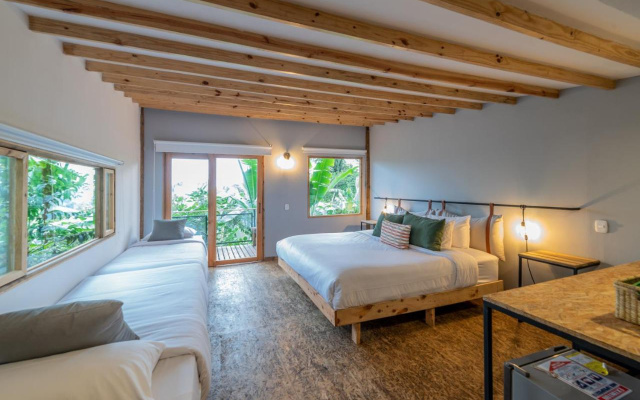 Hotel La Palma y El Tucan - Coffee & Nature