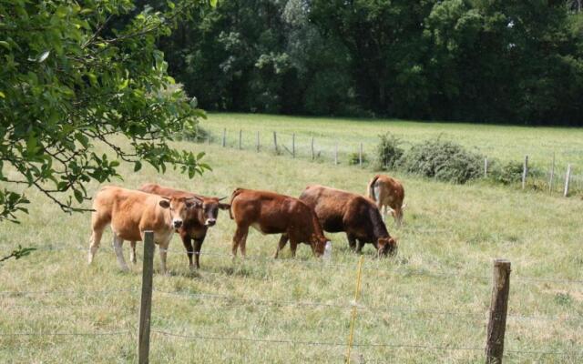 Gîte Beaumont-en-Véron, 3 pièces, 5 personnes - FR-1-381-445