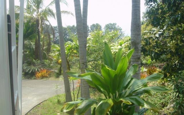 Green Lions Vacation Rental