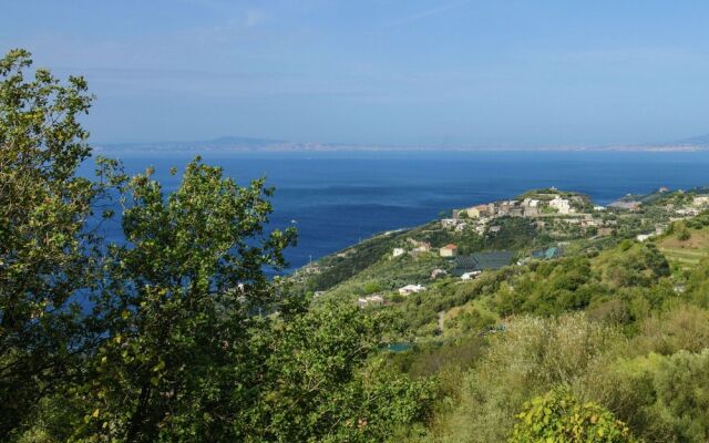 Apartment in Country House near Center of Sorrento