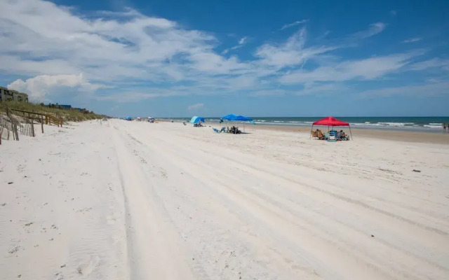 Sand Dollar 306