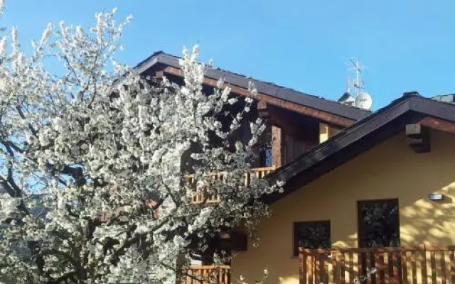 La Vigne de Papagran
