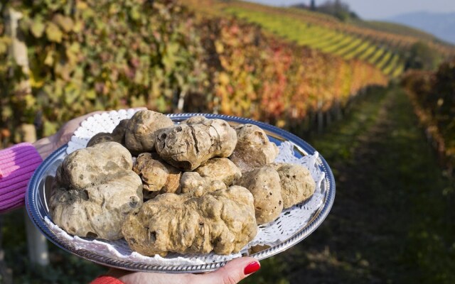 Beautiful Apartment in Monforte D'alba With 1 Bedrooms