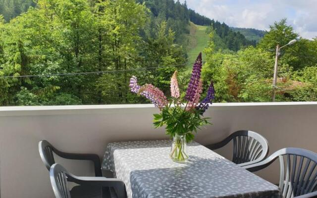 Appartement Les Oursons La Bresse