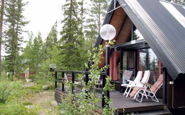 Lofsdalen Fjällbjörken (HJD054)