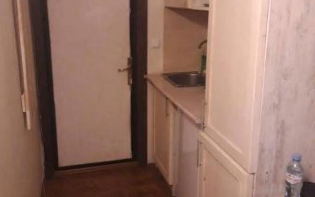 Hotel Mgzavrebi in Bakuriani apartment