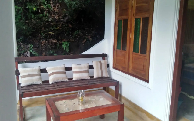 The Jungle House