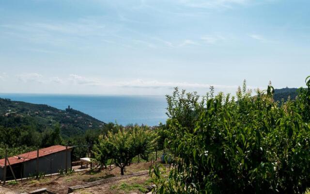 Rosamimama Citra Oo9042-Lt-0250