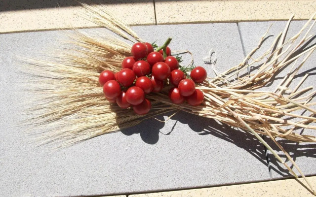 Agriturismo Botton D'Oro