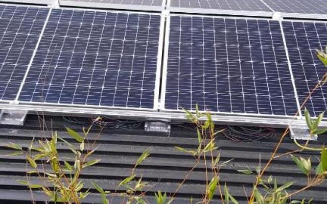 Appartmenthaus Gingst