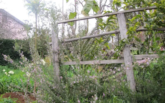 Rural House Casa Rosa