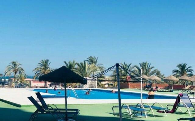Sur Suites Palmeras 5