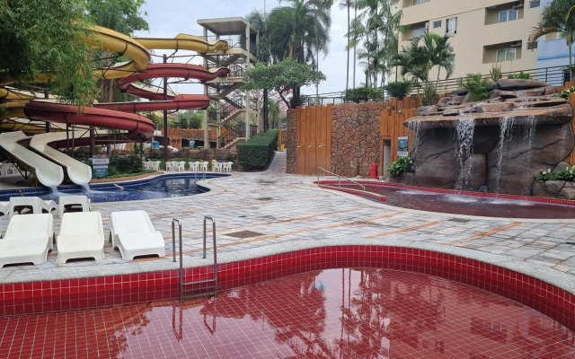 Golden Dolphin Express OFICIAL