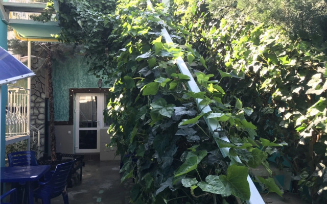 Magic Patio