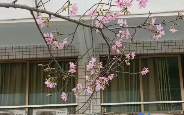 Jinrun Hotel – Exterior – Qingyuan