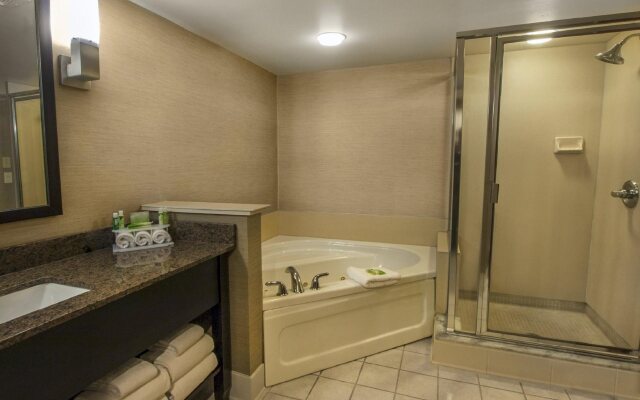 Holiday Inn Express Hotel & Suites Buffalo-Airport by IHG