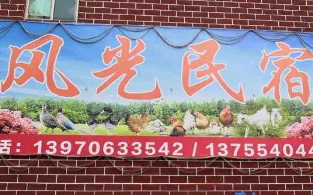 Jinggangshan Scenic B&B